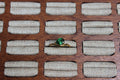The Teardrop Ring | Green