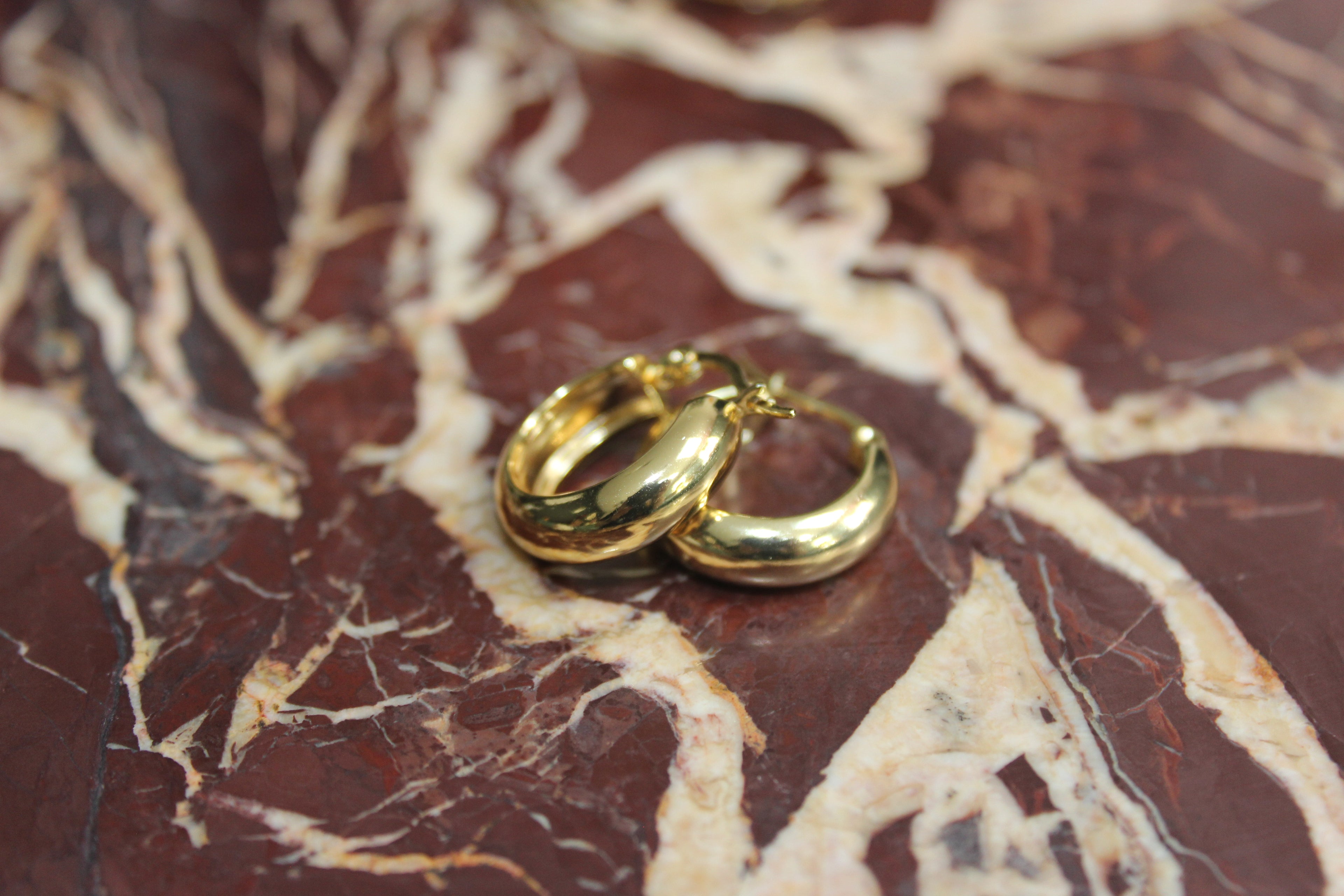 The Classic Gold Hoop Earrings