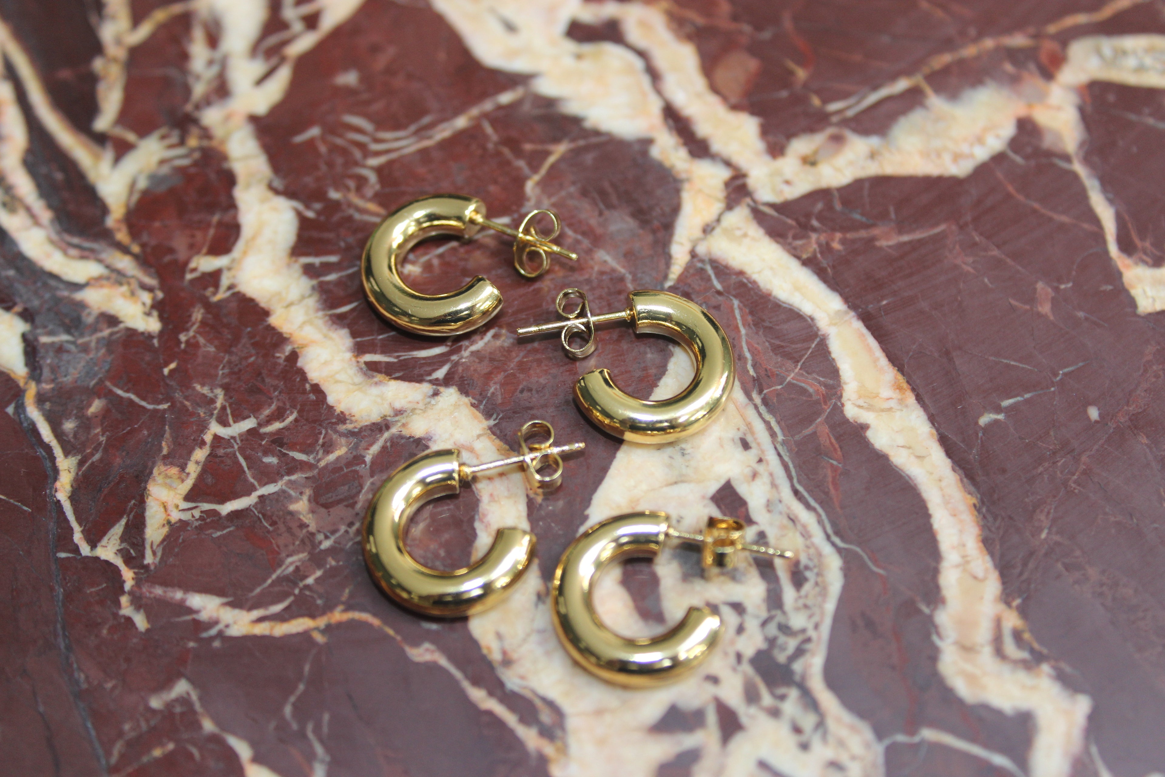The Mini Gold Hoop Earrings
