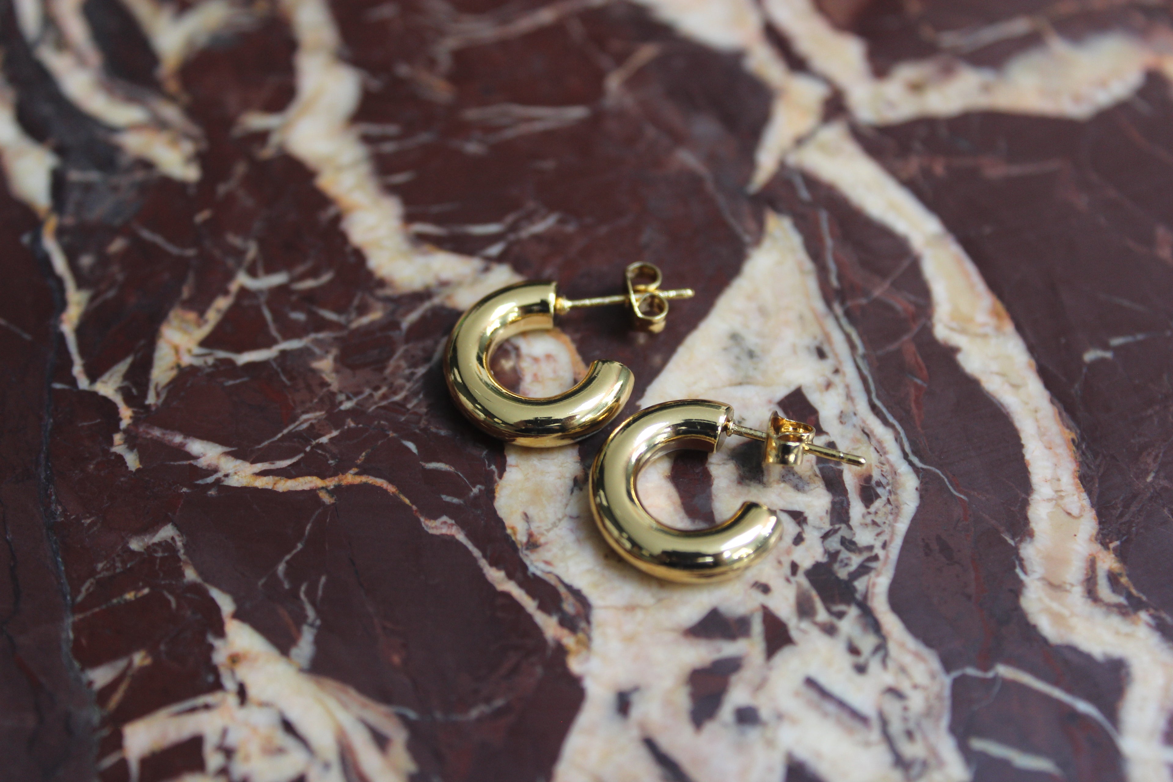 The Mini Gold Hoop Earrings
