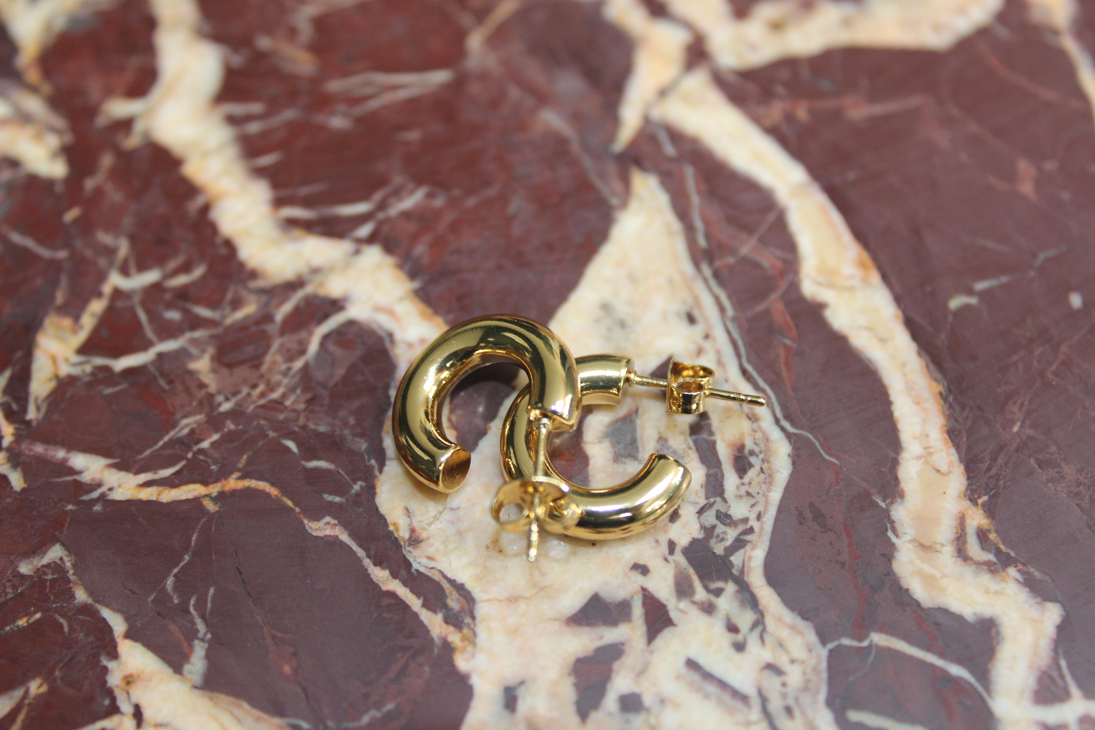 The Mini Gold Hoop Earrings