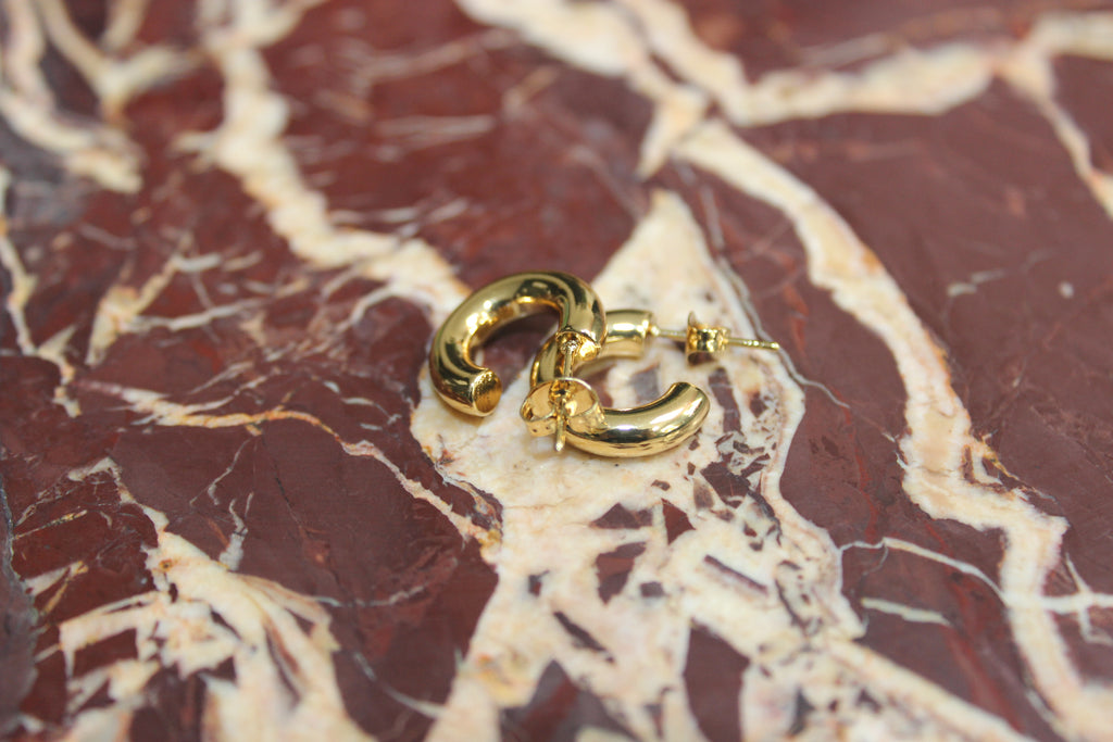 The Mini Gold Hoop Earrings