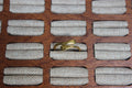 Minimalist Open Gold Ring
