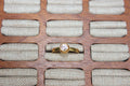 The Interchangeable Stone Ring